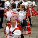 8D689485-1B8C-4C40-8394-5909CDAA0322